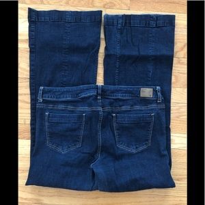 American Eagle Hipster Jeans